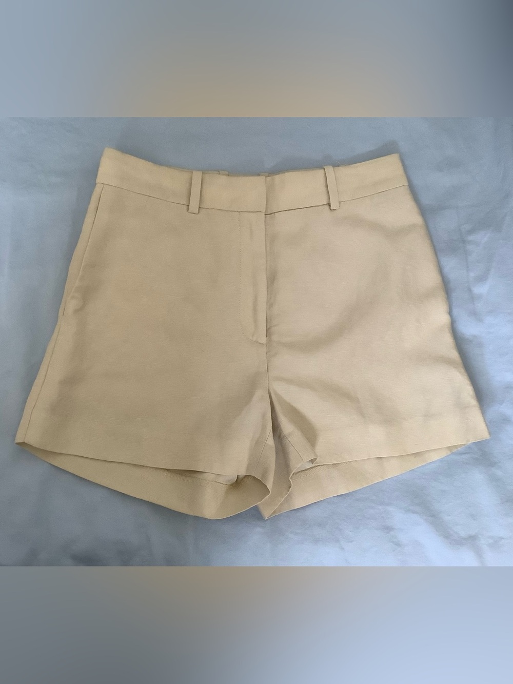 Aritzia High Waist Shorts in Beige